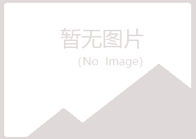 文昌女孩能源有限公司